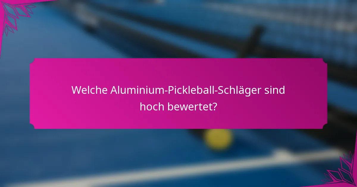 Welche Aluminium-Pickleball-Schläger sind hoch bewertet?