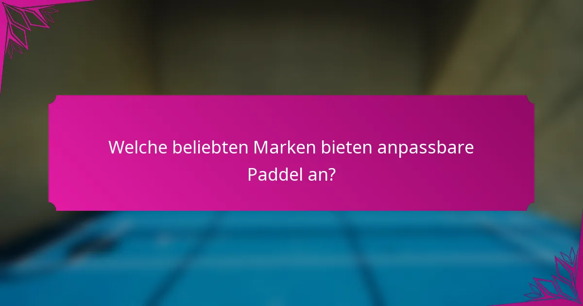 Welche beliebten Marken bieten anpassbare Paddel an?