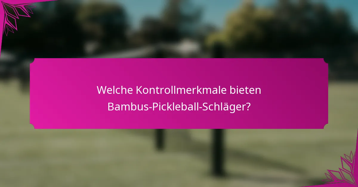 Welche Kontrollmerkmale bieten Bambus-Pickleball-Schläger?