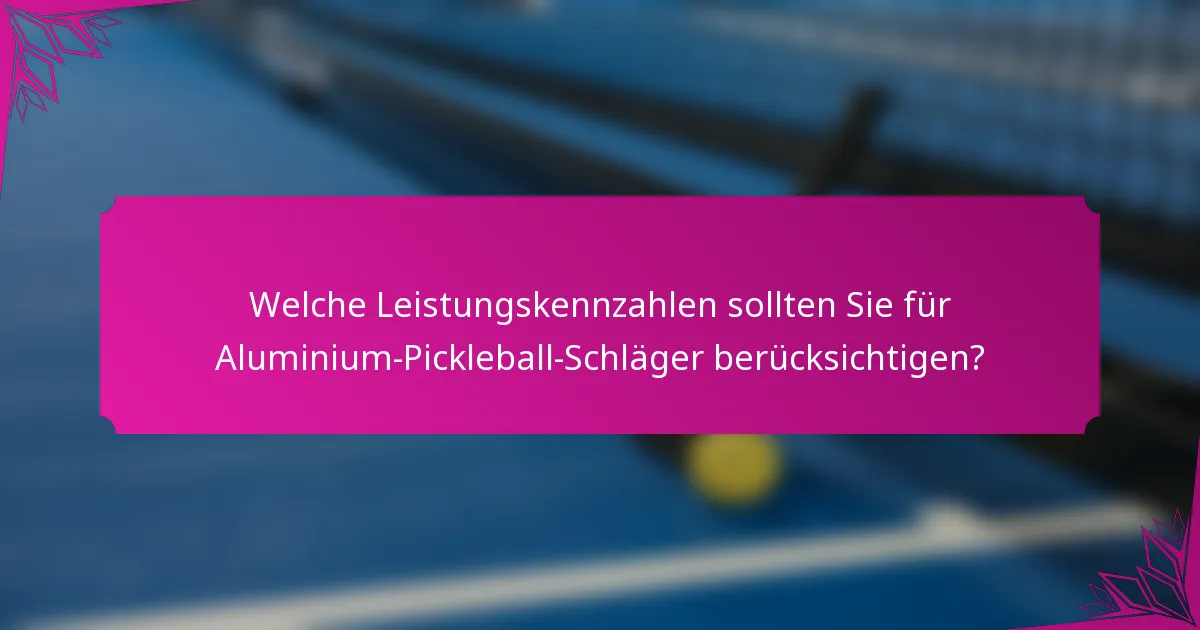 Welche Leistungskennzahlen sollten Sie für Aluminium-Pickleball-Schläger berücksichtigen?