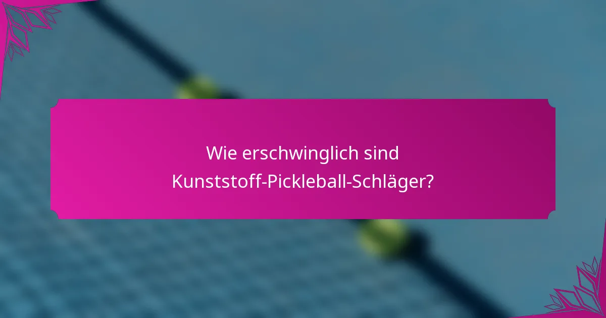 Wie erschwinglich sind Kunststoff-Pickleball-Schläger?