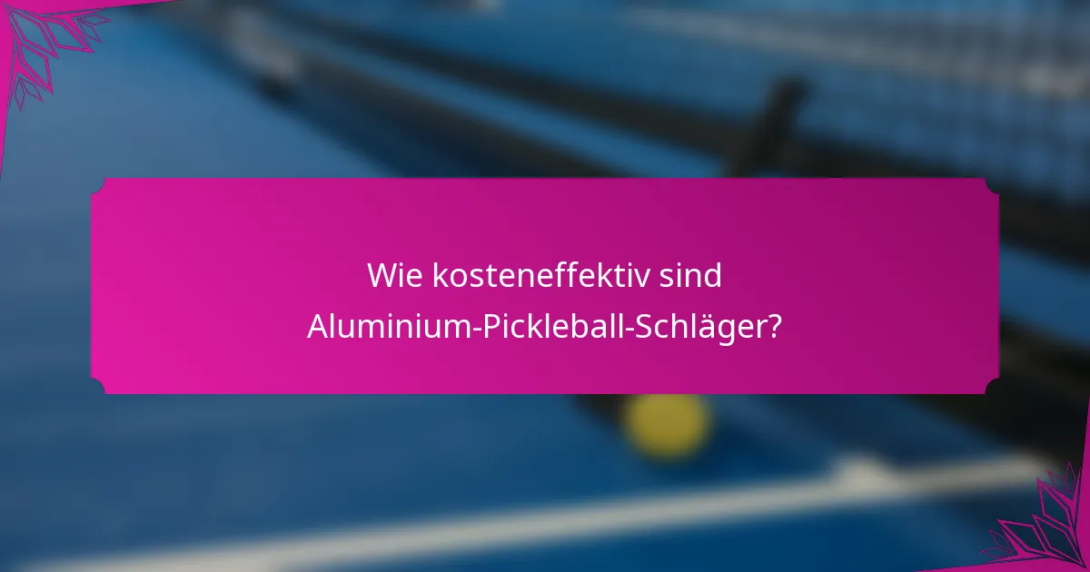 Wie kosteneffektiv sind Aluminium-Pickleball-Schläger?