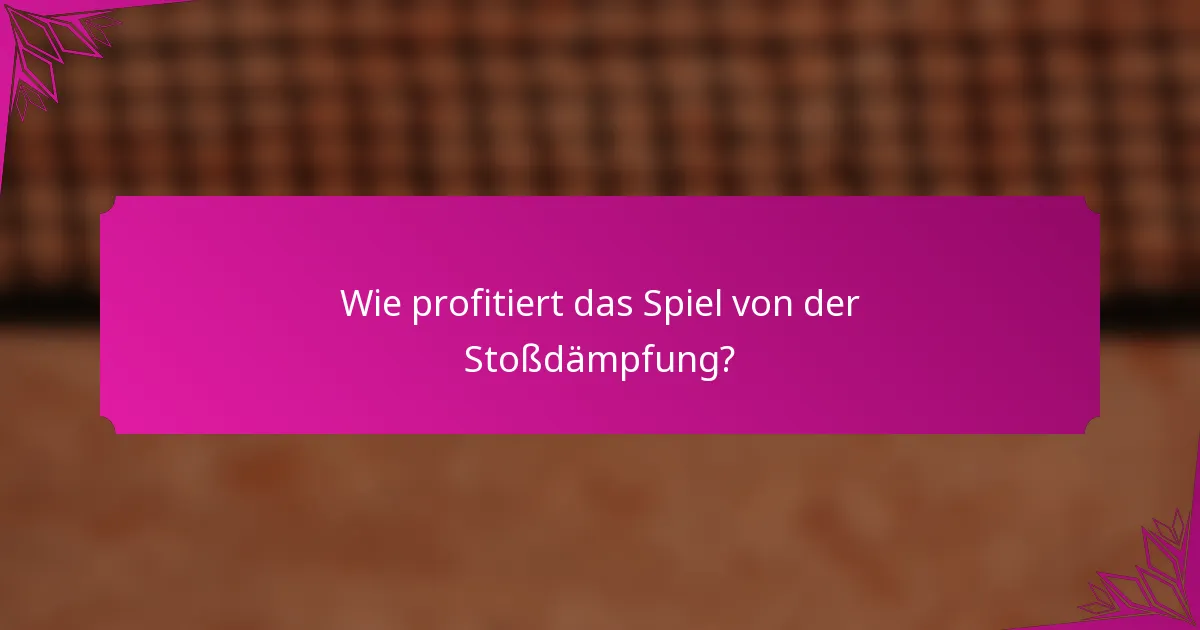Wie profitiert das Spiel von der Stoßdämpfung?