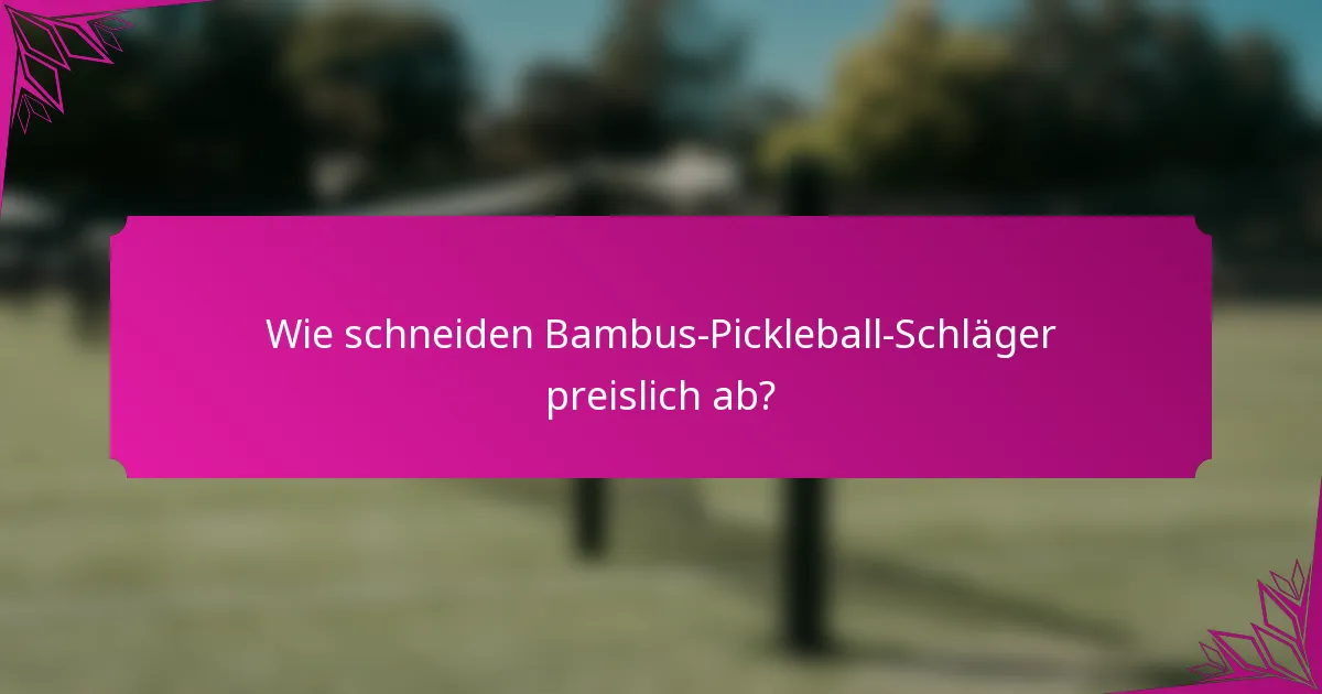 Wie schneiden Bambus-Pickleball-Schläger preislich ab?